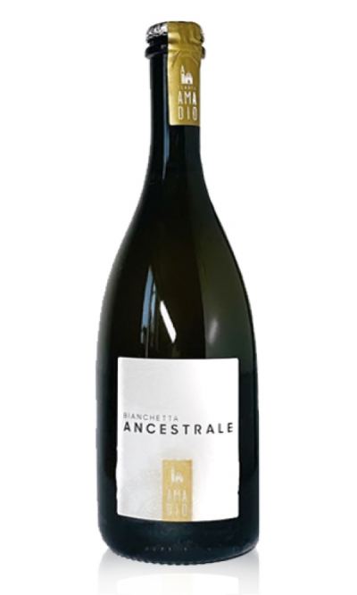 Bianchetta Ancestrale Amadio